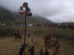 IMG_20151010_144600 (Copy)